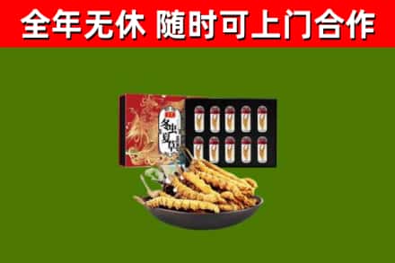 固安烟酒回收冬虫夏草礼盒.jpg