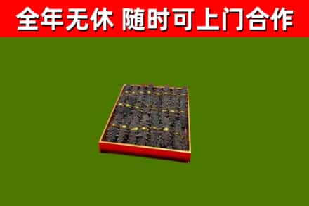 固安回收海参